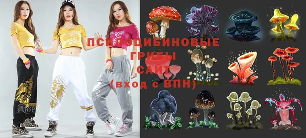 МДМА Алексеевка