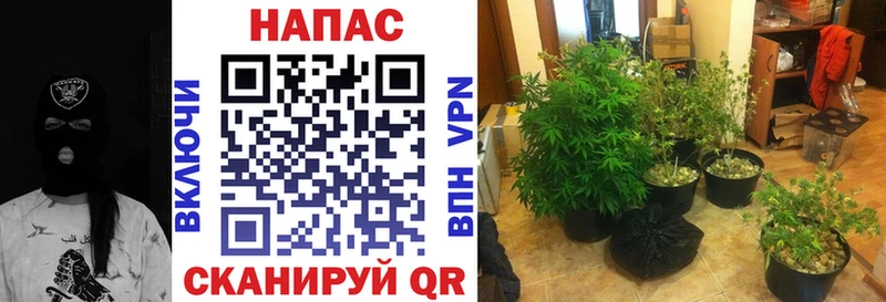 магазин    ссылка на мегу ONION  Канабис Bruce Banner  Грайворон 